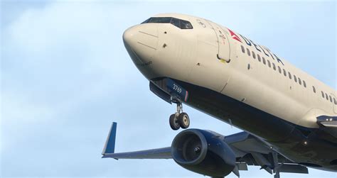 zivbod|737 zibo.